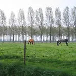 Spacious Farmhouse In Eede With Private Terrace